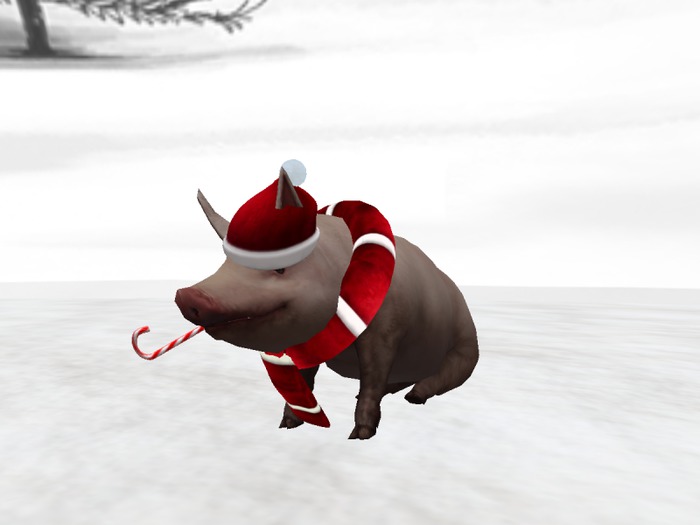 *Xtal* Candy Cane Giver Pig Info