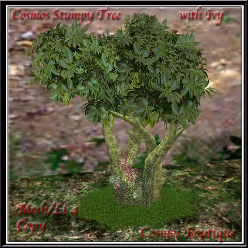 Cosmos Stumpy Tree with Ivy (BOX)