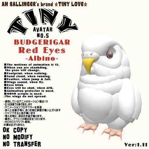 Tiny Avater "Budgerigar Redeyes(Albino)"