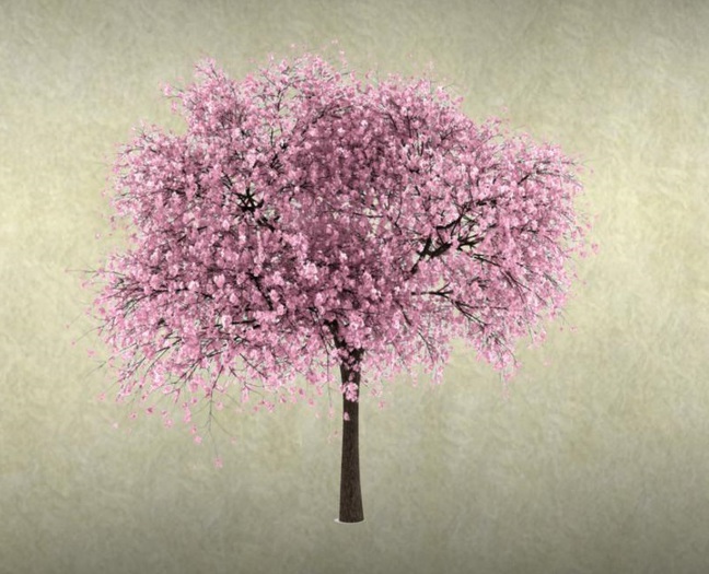 Jama's Decor Cherry Blossom Wall Decal