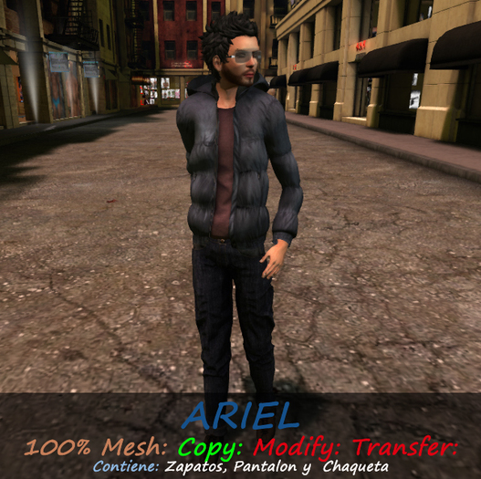 :::MANUELS::: ARIEL
