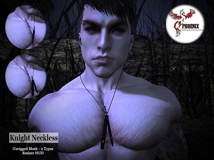 .:Phoenix:. Knights Neckless