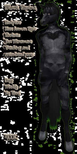 Black Male (Boxed)