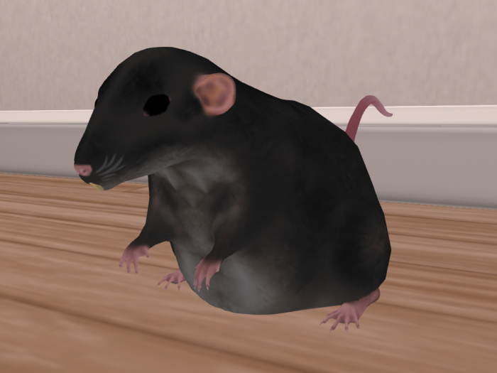 +Nelaware+ Rat Black ~1 Prim~
