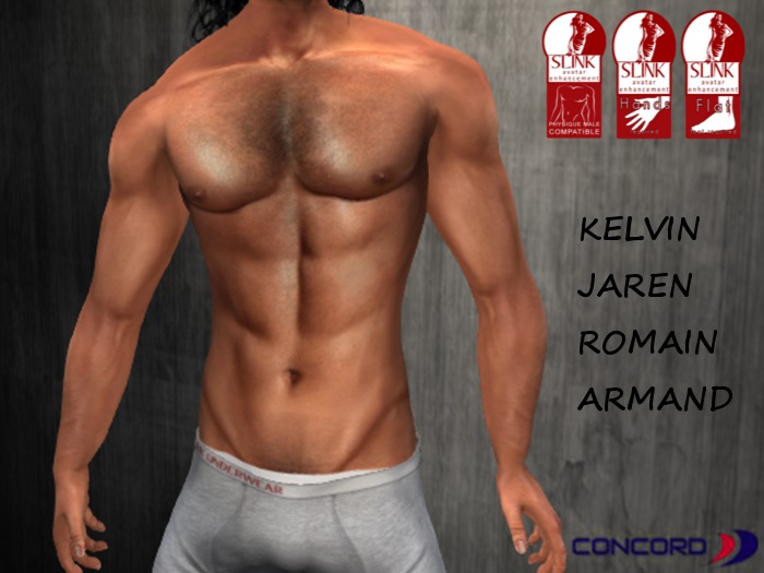 ::::CONCORD::: Slink Physique Mesh Body Applier HUD 2