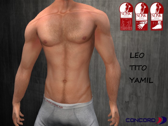 ::::CONCORD::: Slink Physique Mesh Body Applier HUD 13