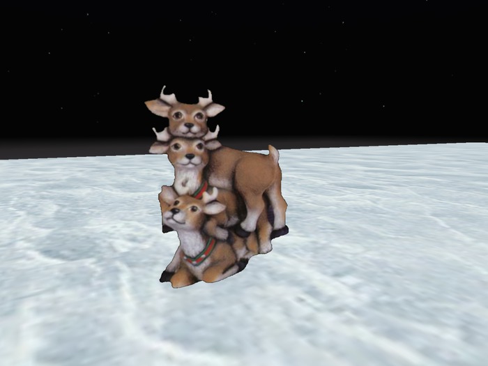 REINDEERS POSING CHRISTMAS