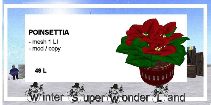 poinsettia