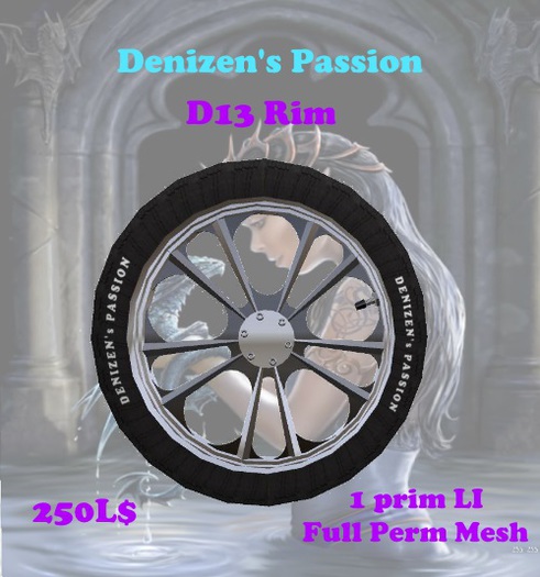 D13 Mag Rim **