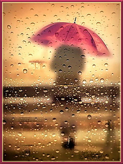Rainy day