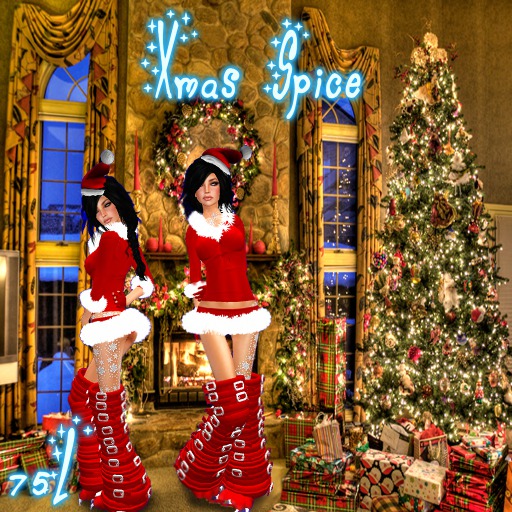 xmas spice (b)