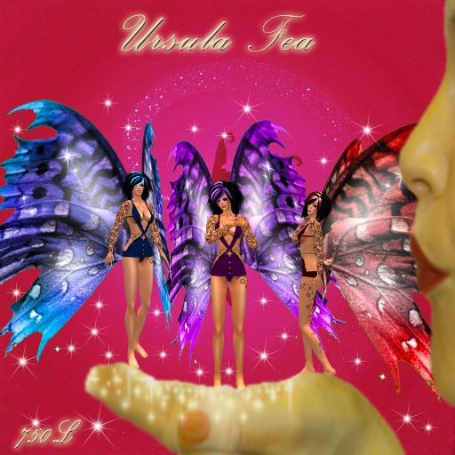 Ursula Fae complete Avi Boxed