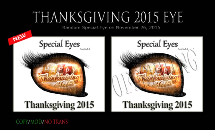 THANKSGIVING 2015 EYE SIGNS
