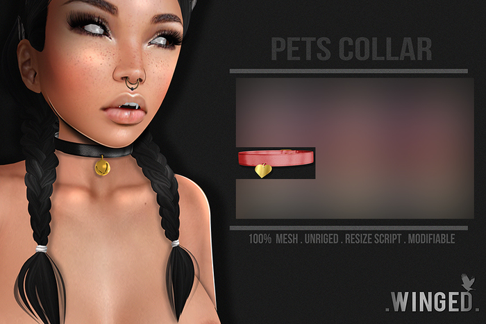 .Winged. Pets Collar