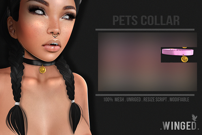 .Winged. Pets Collar