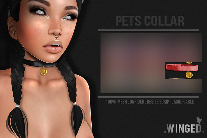 .Winged. Pets Collar