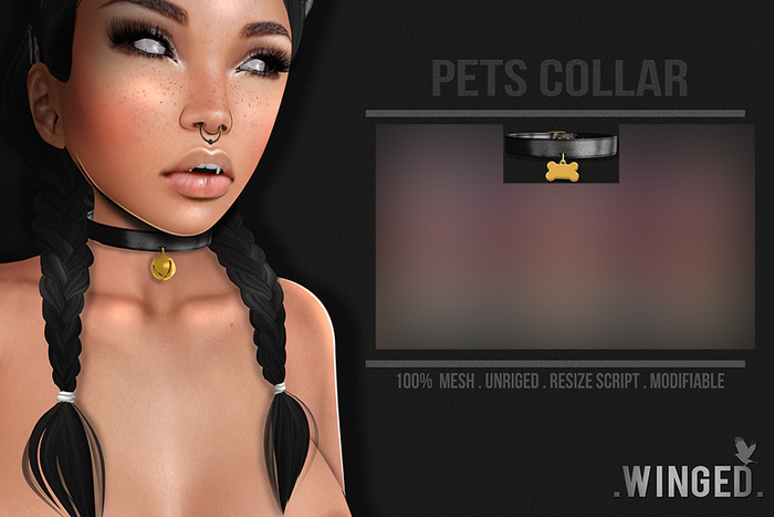 .Winged. Pets Collar