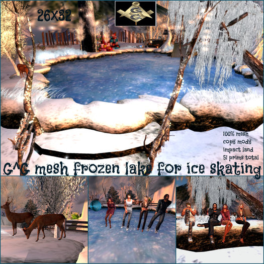 G^G mesh frozen lake for ice skating