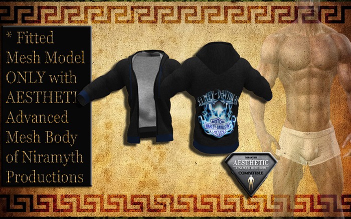 AESTHETIC  jacket 5