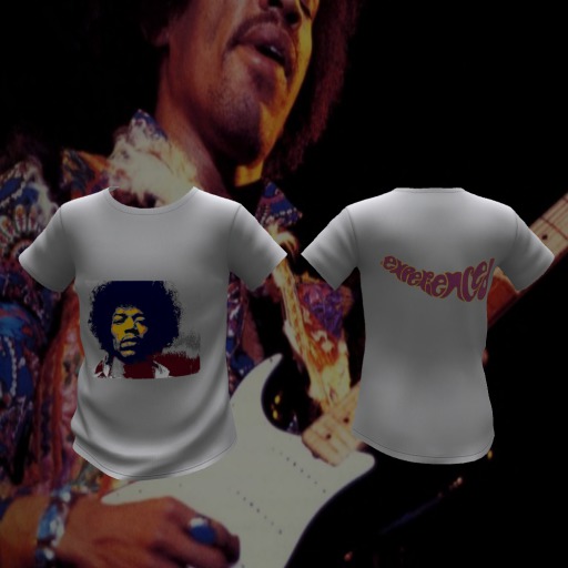 Texico Men's mesh tee Hendrix white