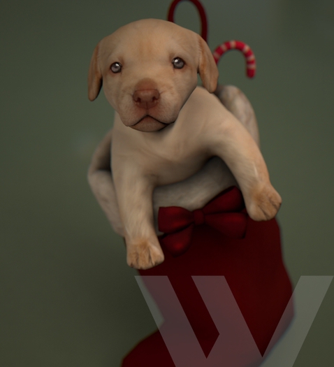 O.M.E.N - Waiting for Santa Paws - Stocking Puppers BOX RARE