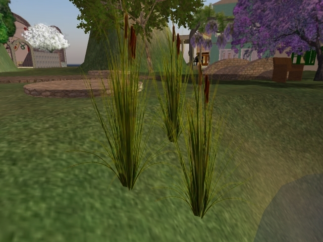 TA Potted Cattails Flexi Copy