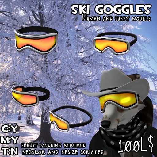 Ski goggles [BB] boxed