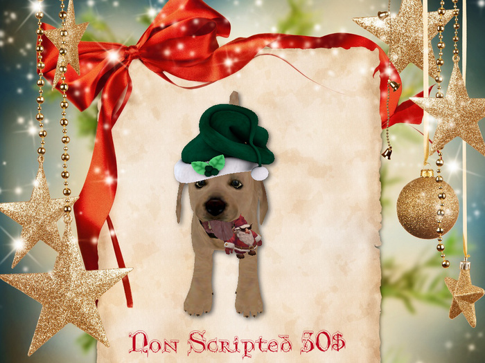 playfull xmas lab pup