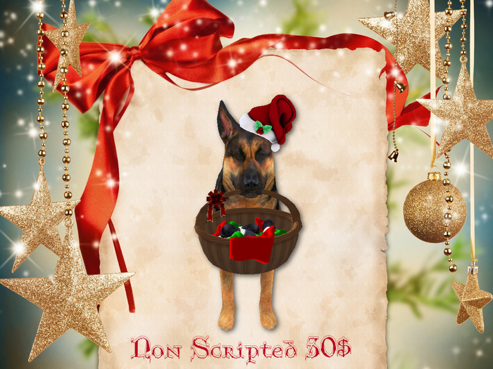 xmas german shepard