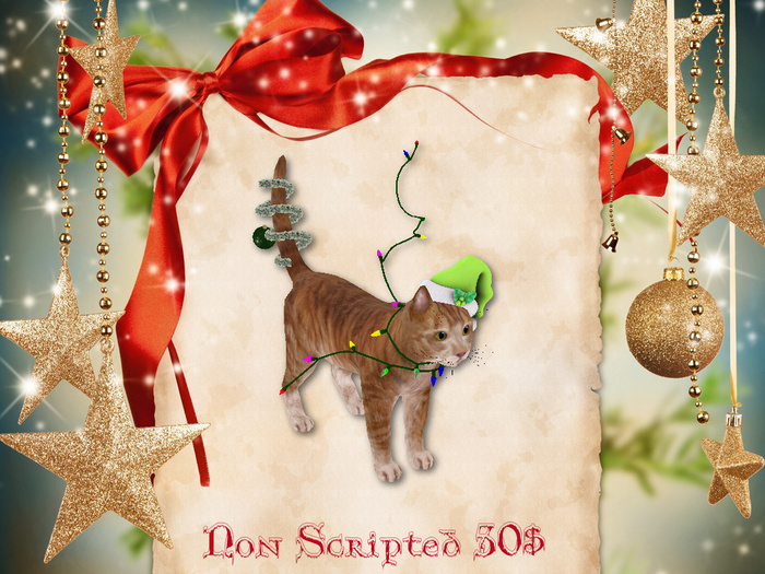 xmas tabby cat