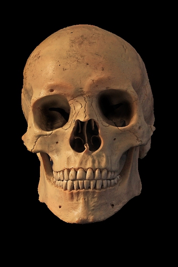 Skull 1 - 2D 