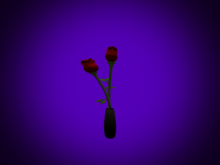 Two Beautiful Roses In Vase Boxed