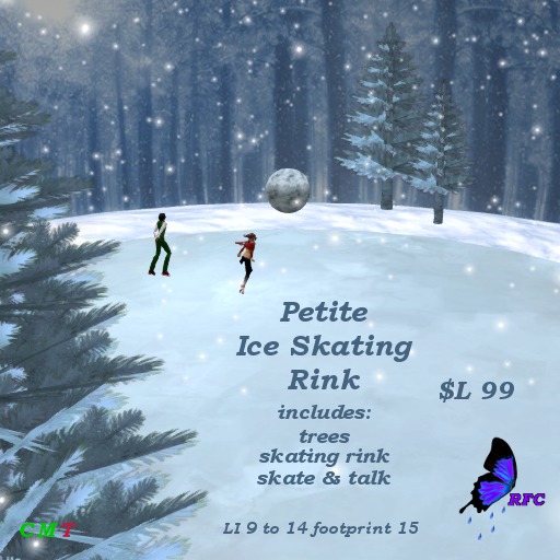 Petite Ice Skating Rink