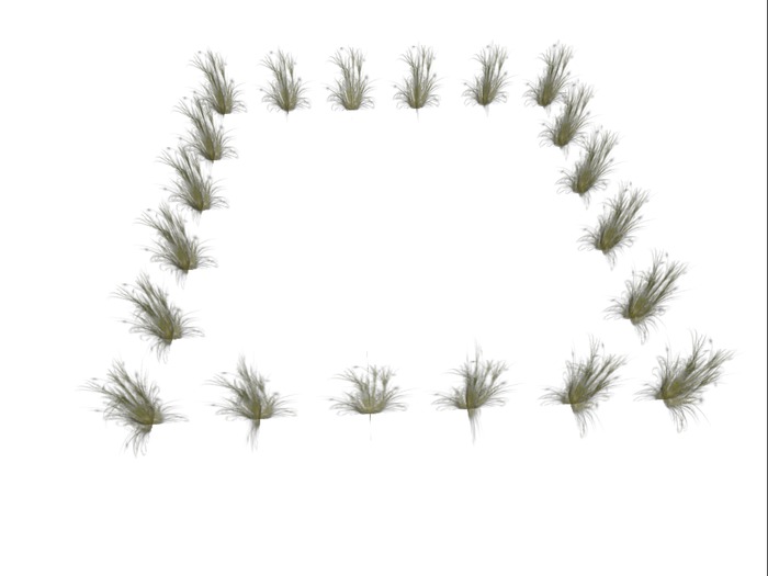 Square Plant Plane Full Perms Li   MESH