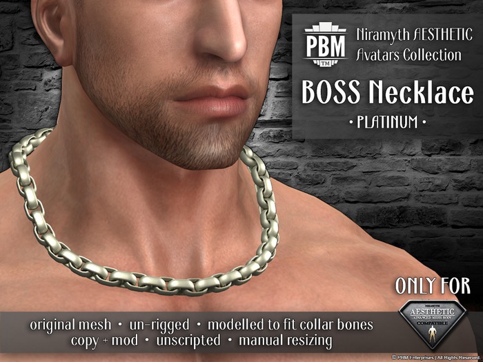 PBM AESTHETIC [Boss Necklace] -color- | Made for Aesthetic necks and shoulders!