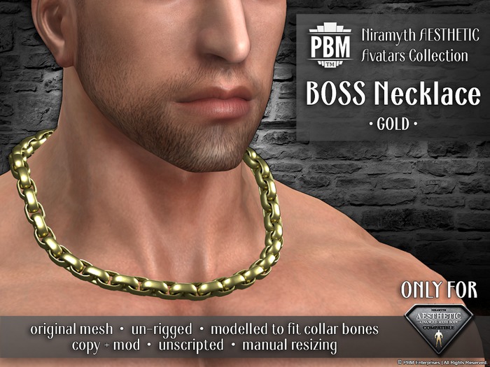 PBM AESTHETIC [Boss Necklace] -color- | Made for Aesthetic necks and shoulders!