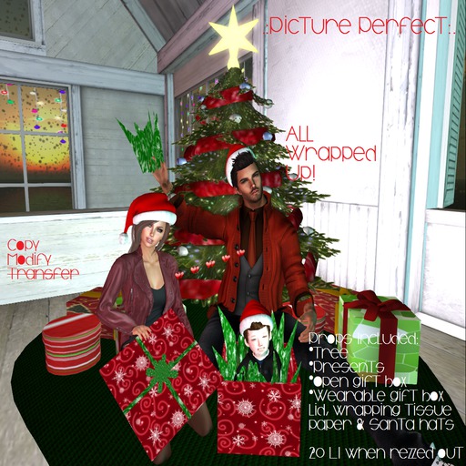 .:Picture Perfect:. Family Pose - All Wrapped Up! (boxed)
