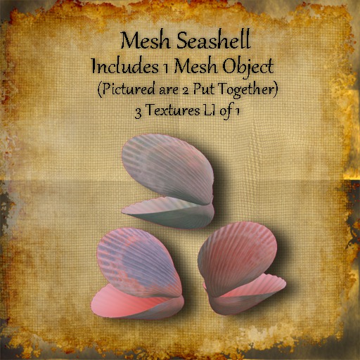 Bad Katz Mesh Seashell