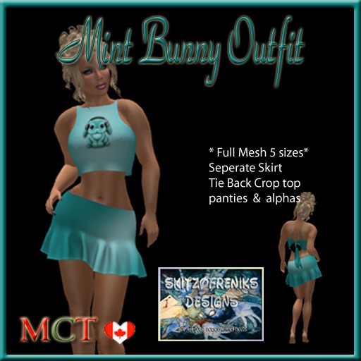 Mint Bunny Outfit