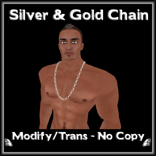 *ICED* Silver & Gold Chain 