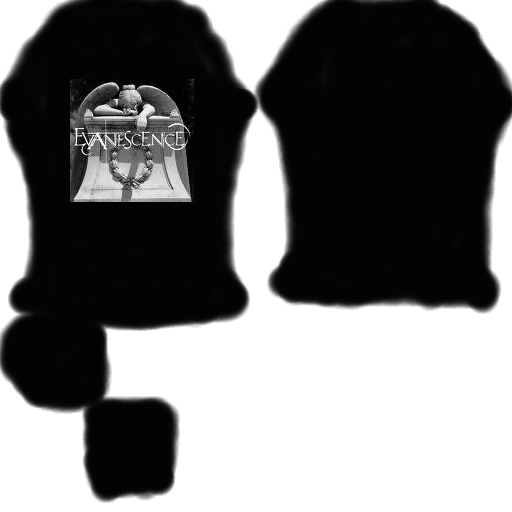 evanescence shirt