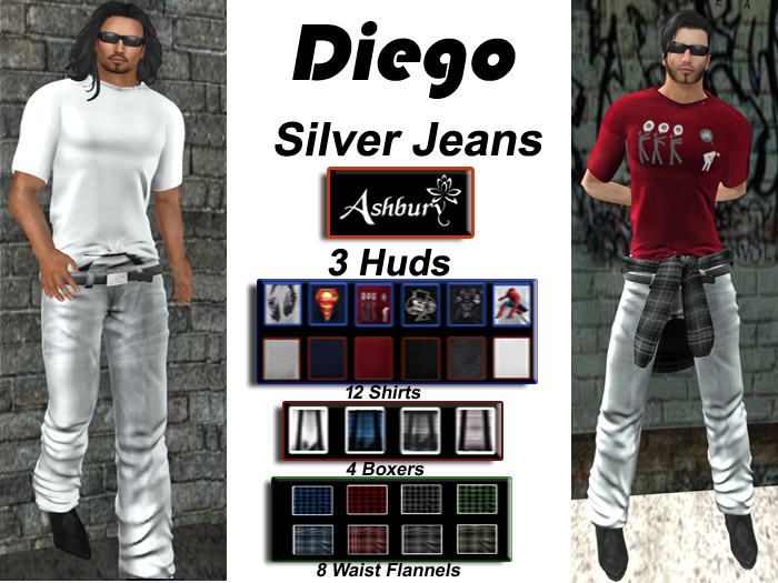 [ASHBURY] Diego Jeans  Silver w/HUDS