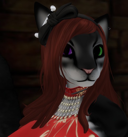 *CT* DSD Leopard Mesh Hair Fix