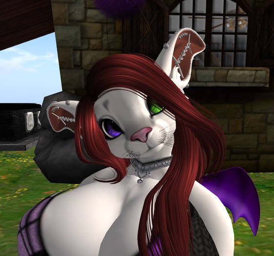 *CT*  Curious Chinchilla Mesh Hair Fix
