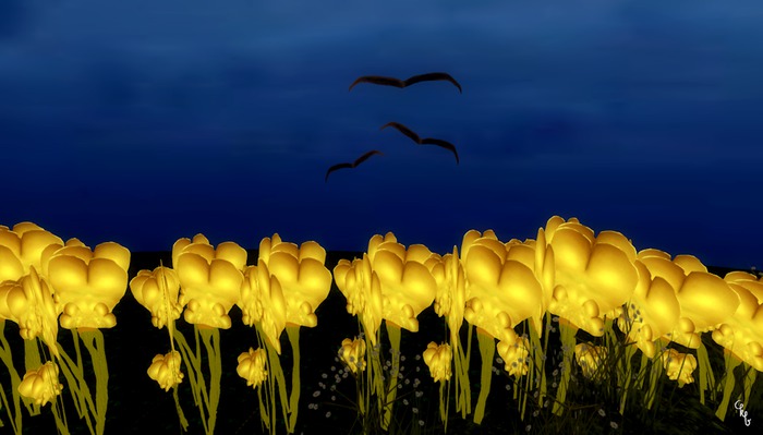 Buttocks Buttercups (Body Parts)
