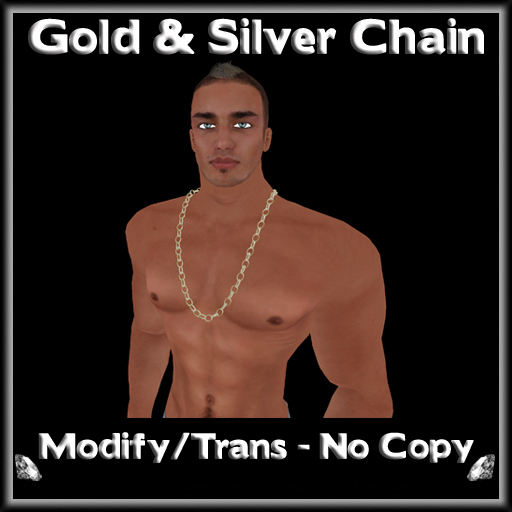 *ICED* Gold & Silver Chain 