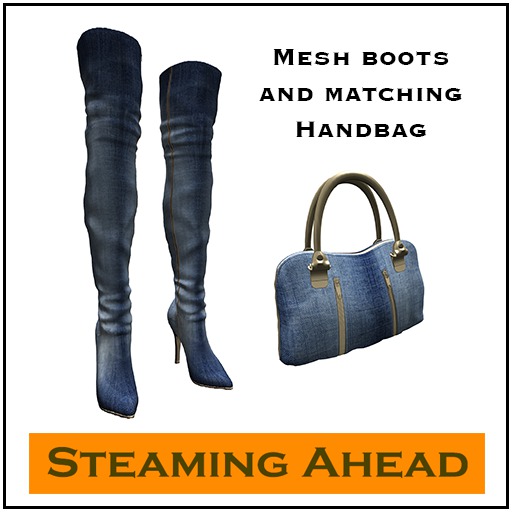 SA Denim Boots and Handbag