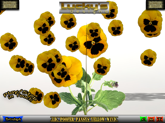 .:LD:. Poofer Pansys Yellow Wind:.