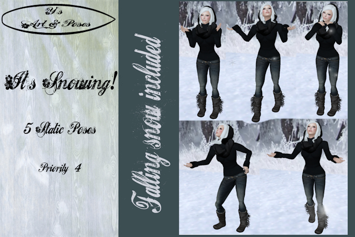 *~* Y's Art&Poses - It's Snowing Pose Pack