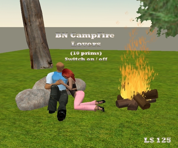 Limited Time Promo ! SAVE 50% - CampFire Lovers